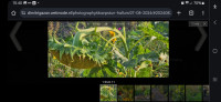 /album/handleiding/afbeelding-van-whatsapp-op-2024-09-11-om-15-56-20-5f787804-jpg/